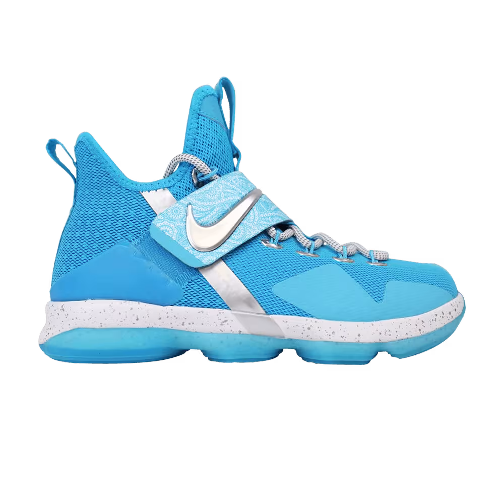 Nike LeBron 14 GS The Nature Boy