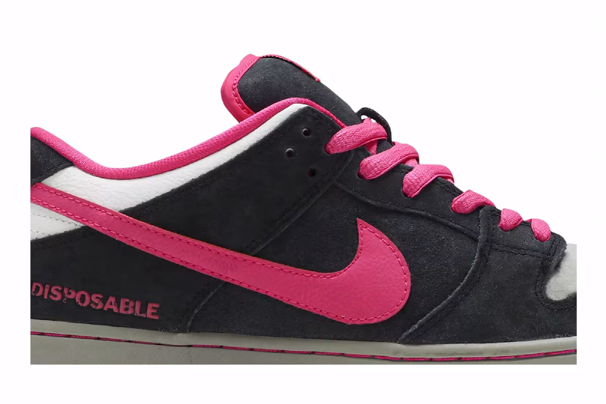 Nike Dunk Low Premium SB Qs Disposable, view 3