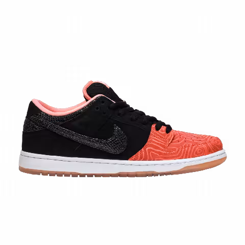 Premier x Nike Dunk Low Pro SB 'Fish Ladder'