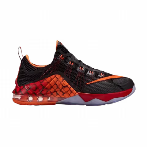 Nike LeBron 12 Low GS 'Gone Fishing'