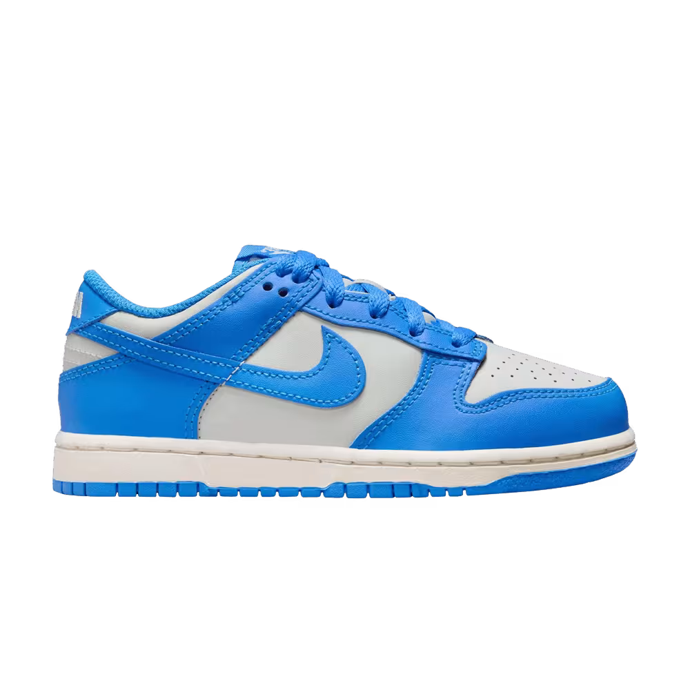 Nike Dunk Low PS Light Photo Blue Silver