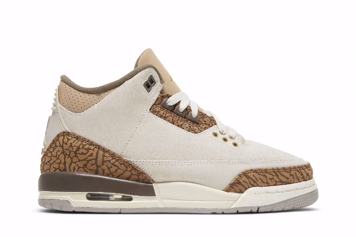 Air Jordan 3 GS Palomino, view 2