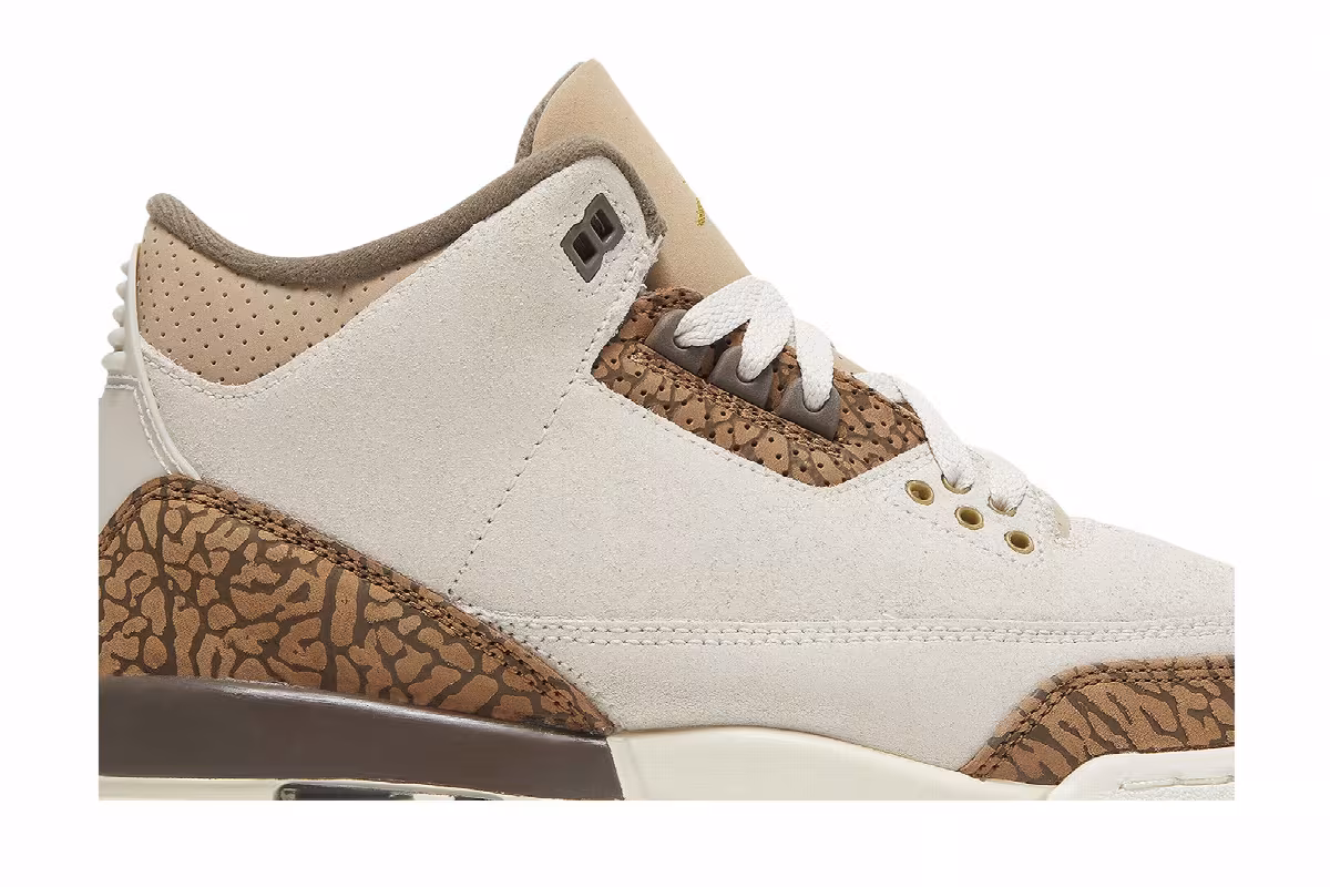 Air Jordan 3 GS Palomino, view 3
