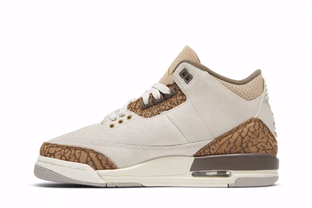 Air Jordan 3 GS Palomino, view 4
