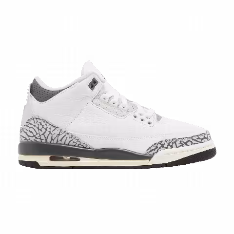 Air Jordan 3 Retro GS 'Hide N' Sneak'