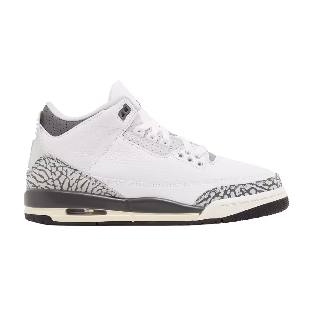 Air Jordan 3 GS Hide N' Sneak