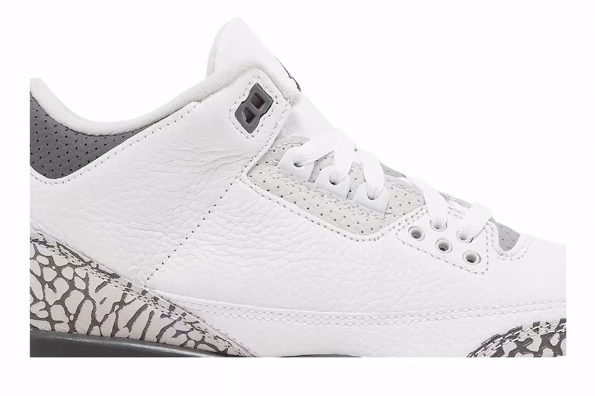 Air Jordan 3 GS Hide N' Sneak, view 3