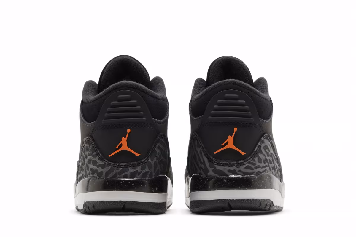 Air Jordan 3 TD Fear 2023, view 7
