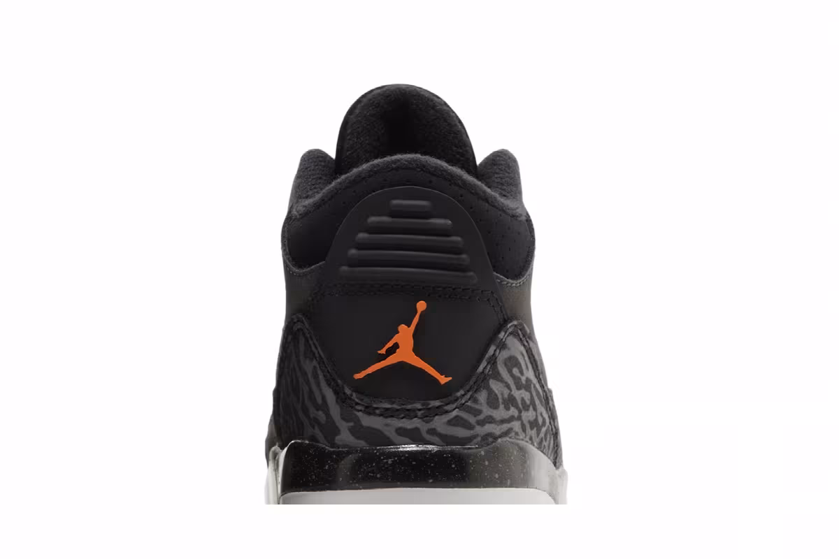 Air Jordan 3 TD Fear 2023, view 8