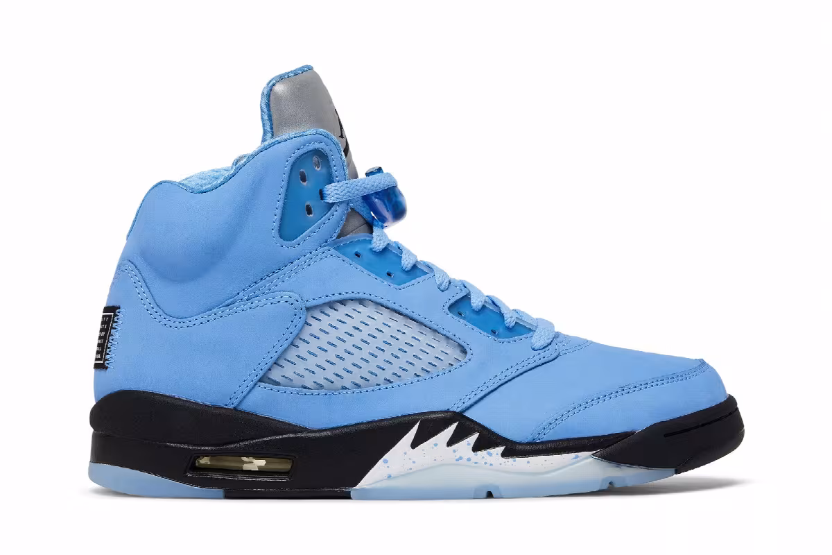 Air Jordan 5 SE UNC, view 2