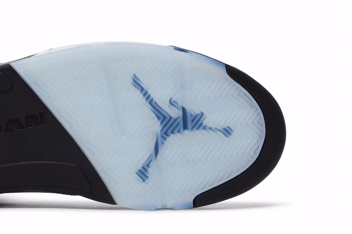 Air Jordan 5 SE UNC, view 6