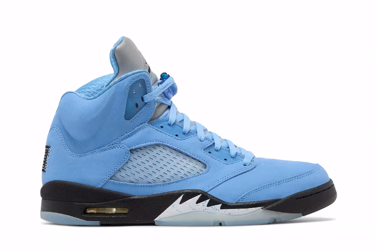 Air Jordan 5 SE UNC, view 2