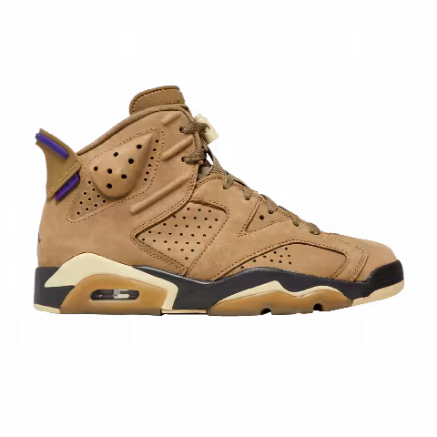 Wmns Air Jordan 6 Retro GORE-TEX 'Brown Kelp'