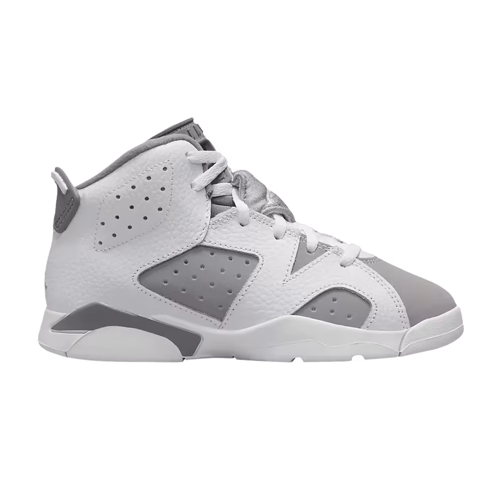 Air Jordan 6 PS Cool Grey