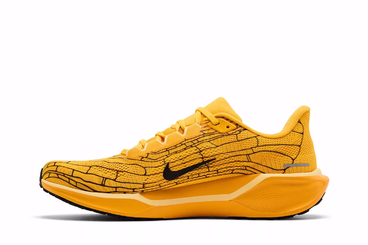 Nike Air Zoom Pegasus 41 LV8 Modern Mayfly Pack, view 4