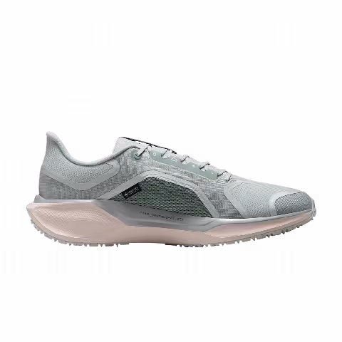 Nike Air Zoom Pegasus 41 GORE-TEX 'Light Pumice'