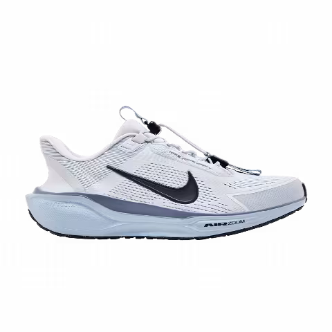 Nike Air Zoom Pegasus 41 EasyOn 'Pure Platinum Light Armory Blue'