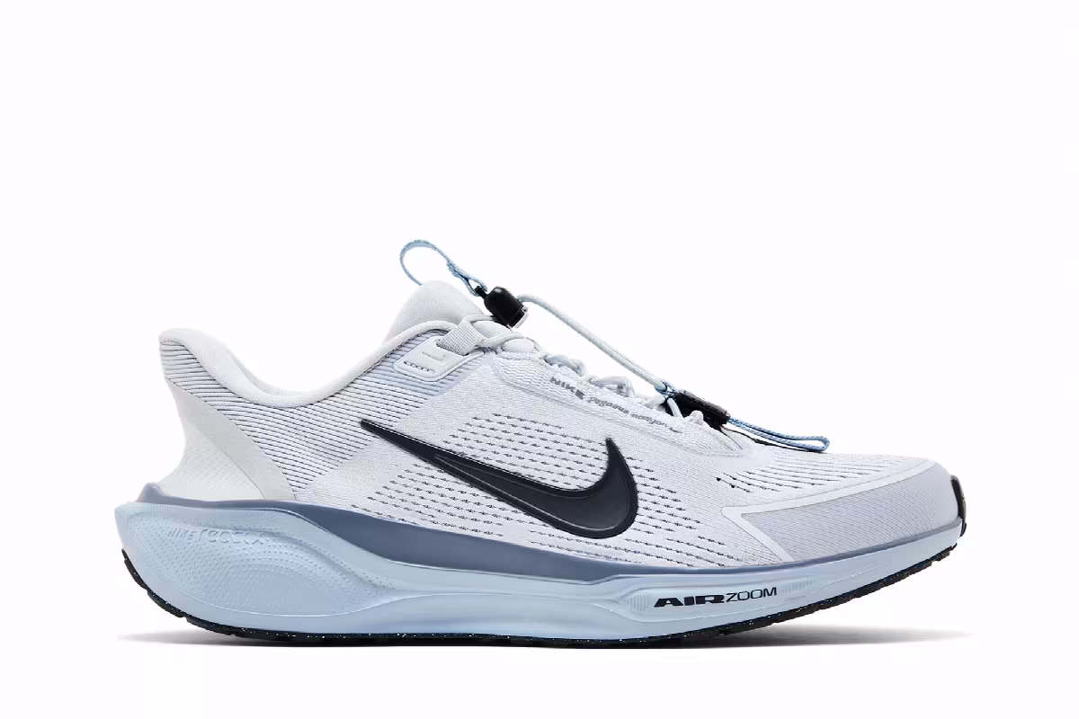 Nike Air Zoom Pegasus 41 EasyOn Pure Platinum Light Armory Blue, view 2