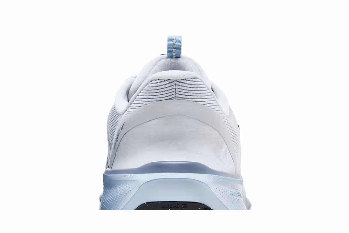 Nike Air Zoom Pegasus 41 EasyOn Pure Platinum Light Armory Blue, view 8