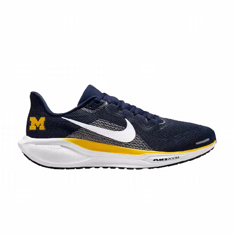 NCAA x Nike Air Zoom Pegasus 41 'Michigan'