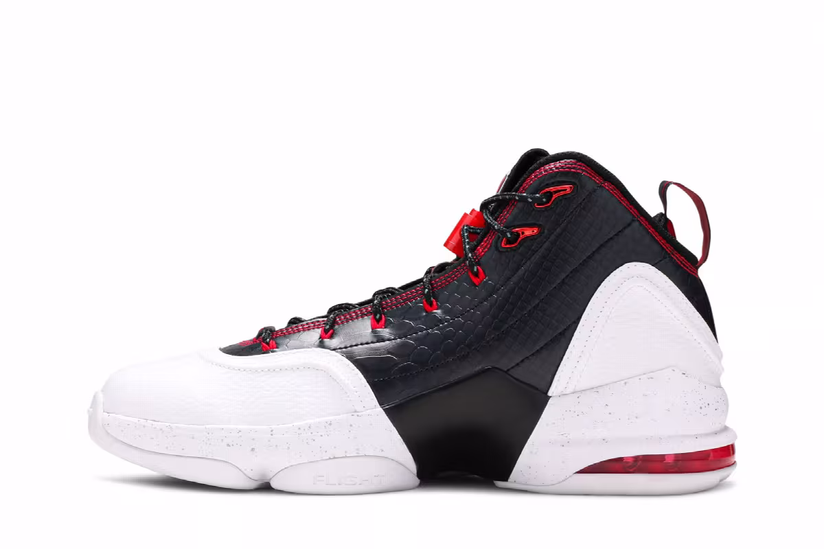 Nike Pippen 6, view 4