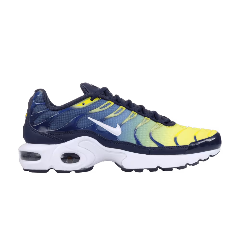 Nike Air Max Plus TN GS Obsidian White