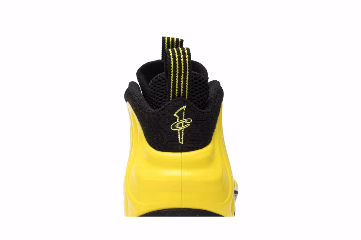 Nike Air Foamposite One wu-tang, view 8