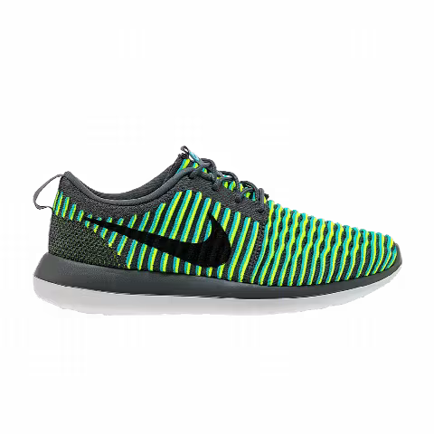 Nike Roshe Two Flyknit