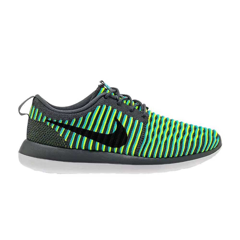 Nike Roshe Two Flyknit