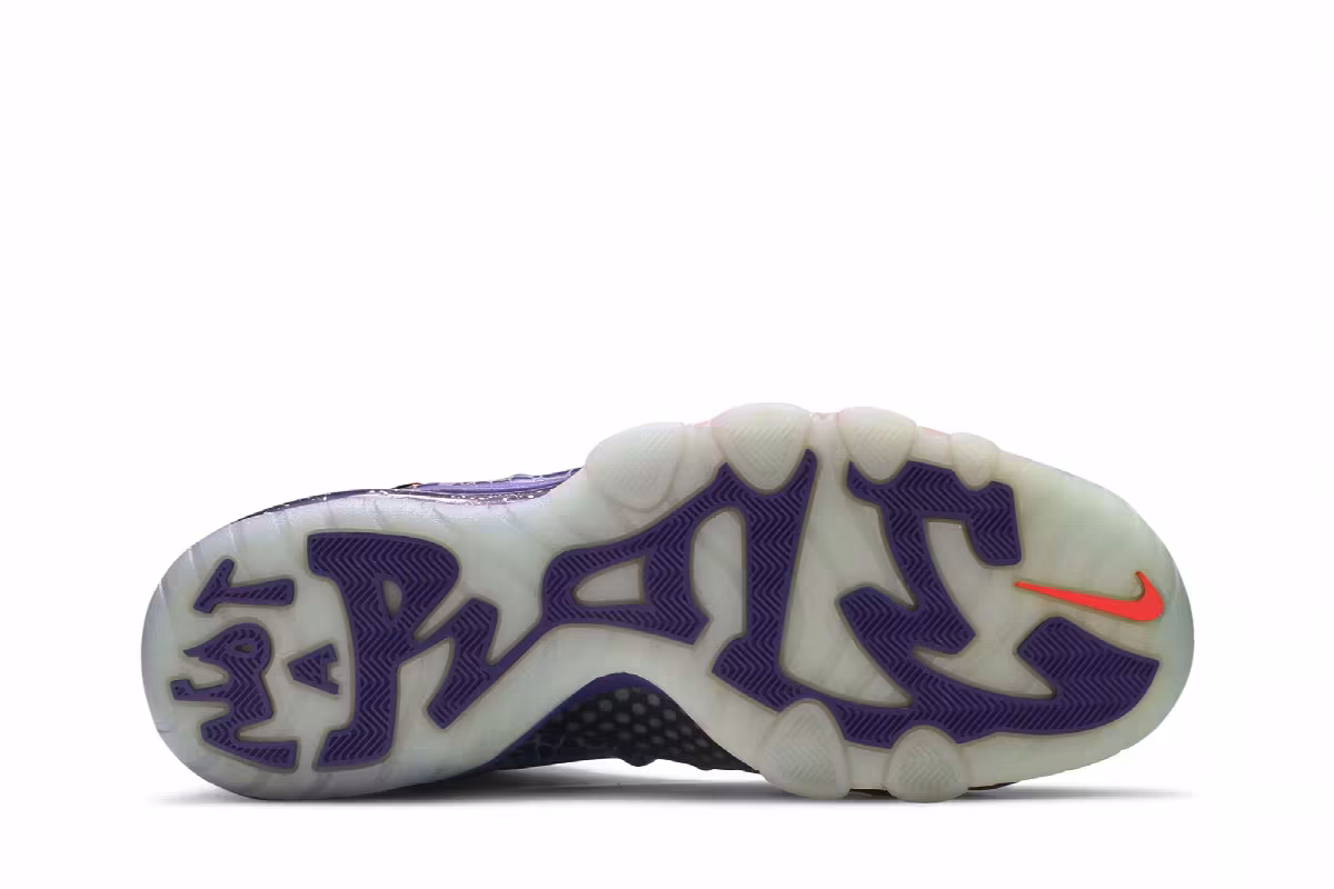 Nike Barkley Posite Max Phoenix Suns, view 5