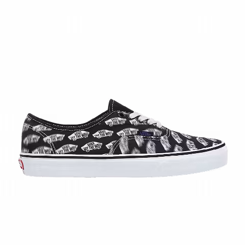 Vans Authentic 'Blur Boards'