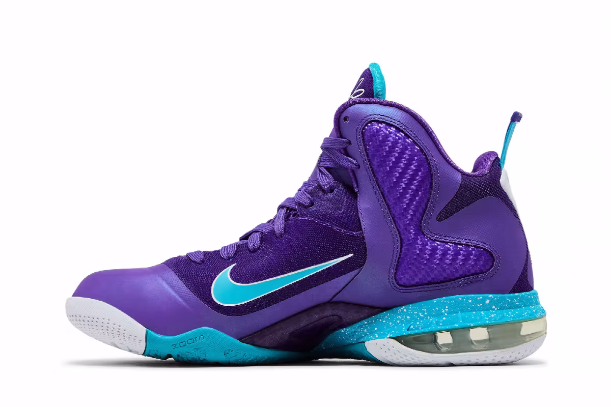 Nike LeBron 9 Summit Lake Hornets, view 4