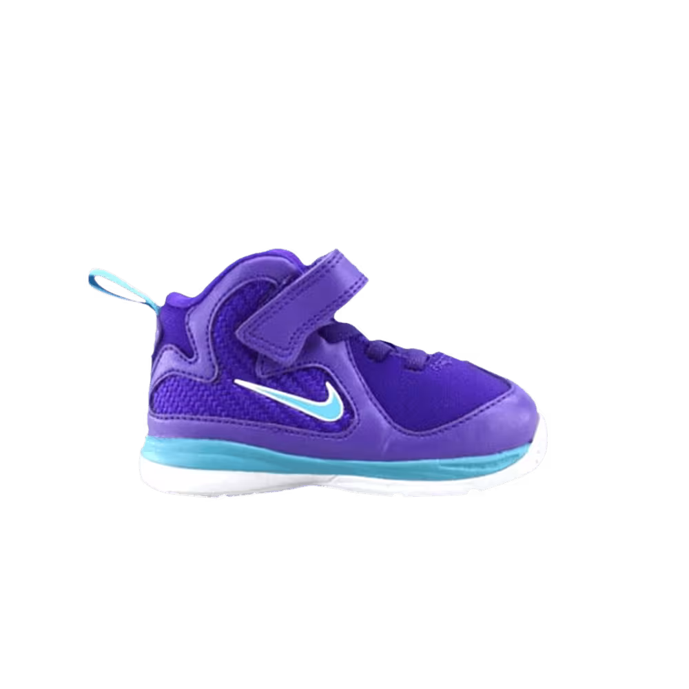 Nike LeBron 9 TD Summit Lake Hornets