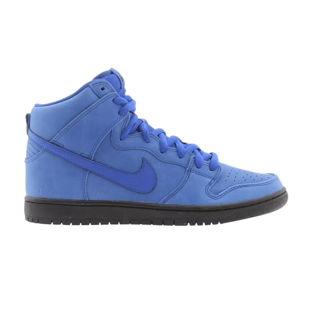 Nike Dunk High Pro Sb
