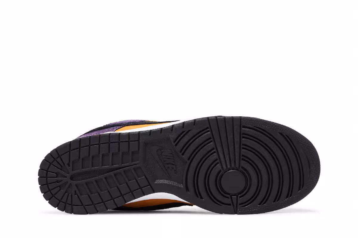 Nike Dunk Low Pro SB Goofy Boy, view 5