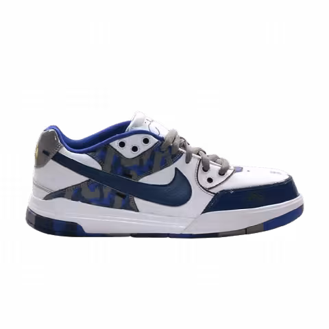 Nike Zoom Paul Rodriguez 3 'Doernbecher'