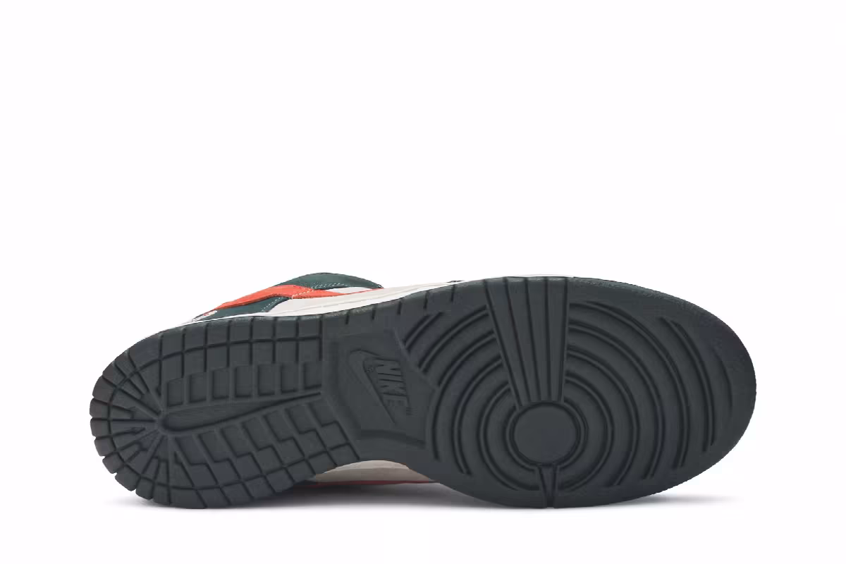 Nike Dunk Low Pro SB Eire, view 5
