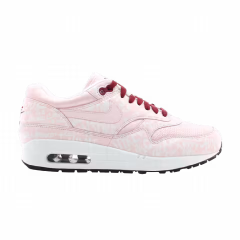 Nike Air Max 1 'Powerwall - Aluminum Pink'