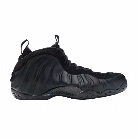 Nike Air Foamposite One 'Black'