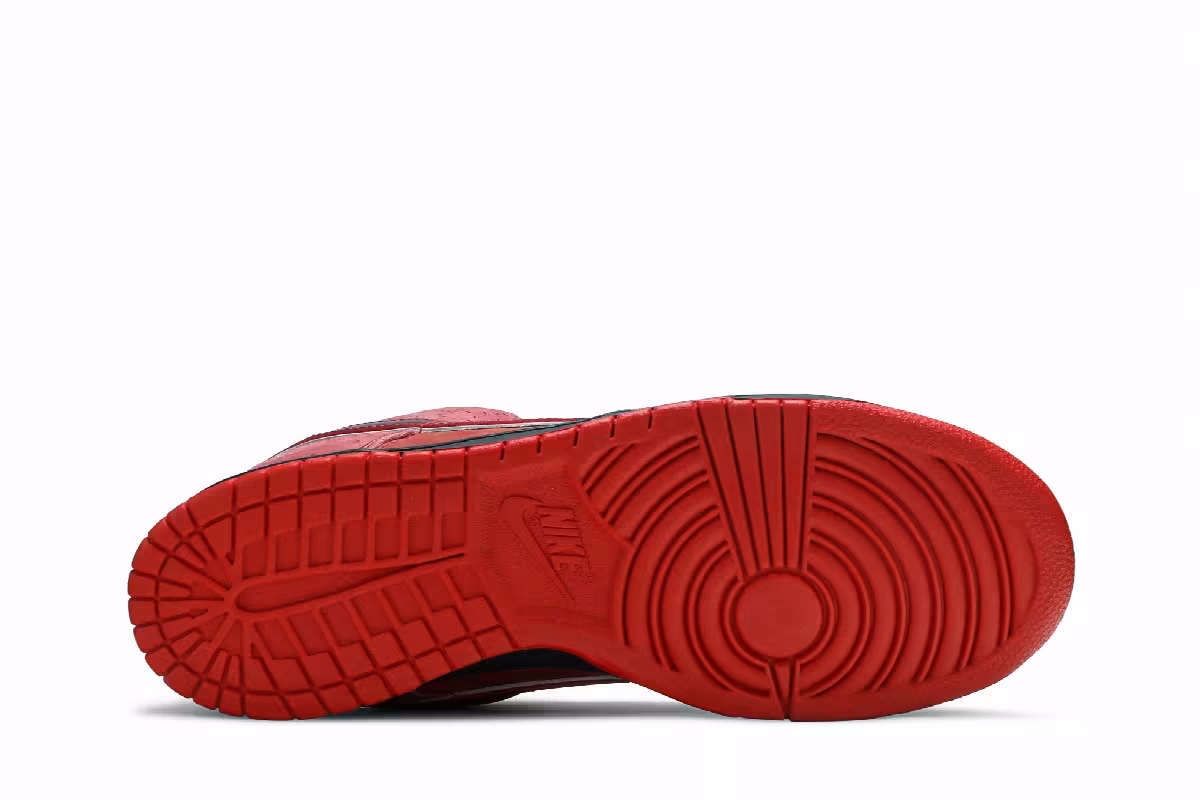 Nike Dunk Low Premium SB Lobster, view 5