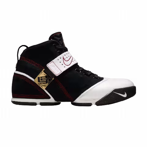 Nike Zoom LeBron 5 'Fearless'
