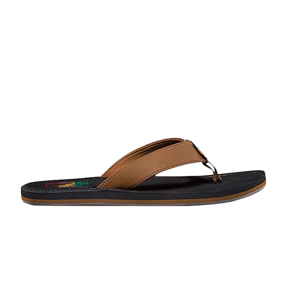 Vans Nexpa Synthetic Dachshund Rasta
