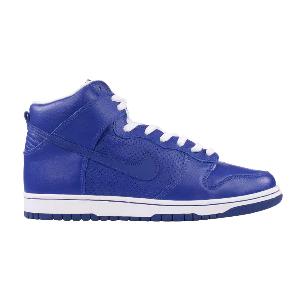 Nike Dunk High Pro SB T-19