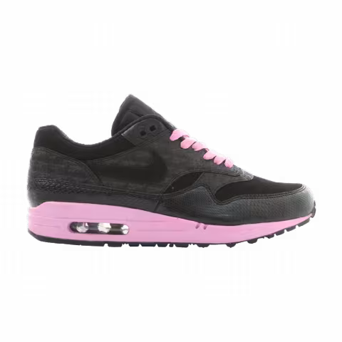 Nike Air Max 1 'Powerwall - Tier 0'