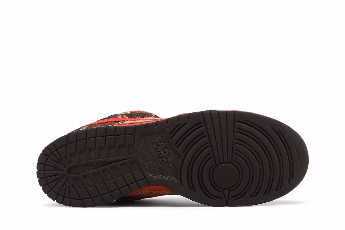 Nike Dunk Low Pro SB Hunter Reese Forbes, view 5