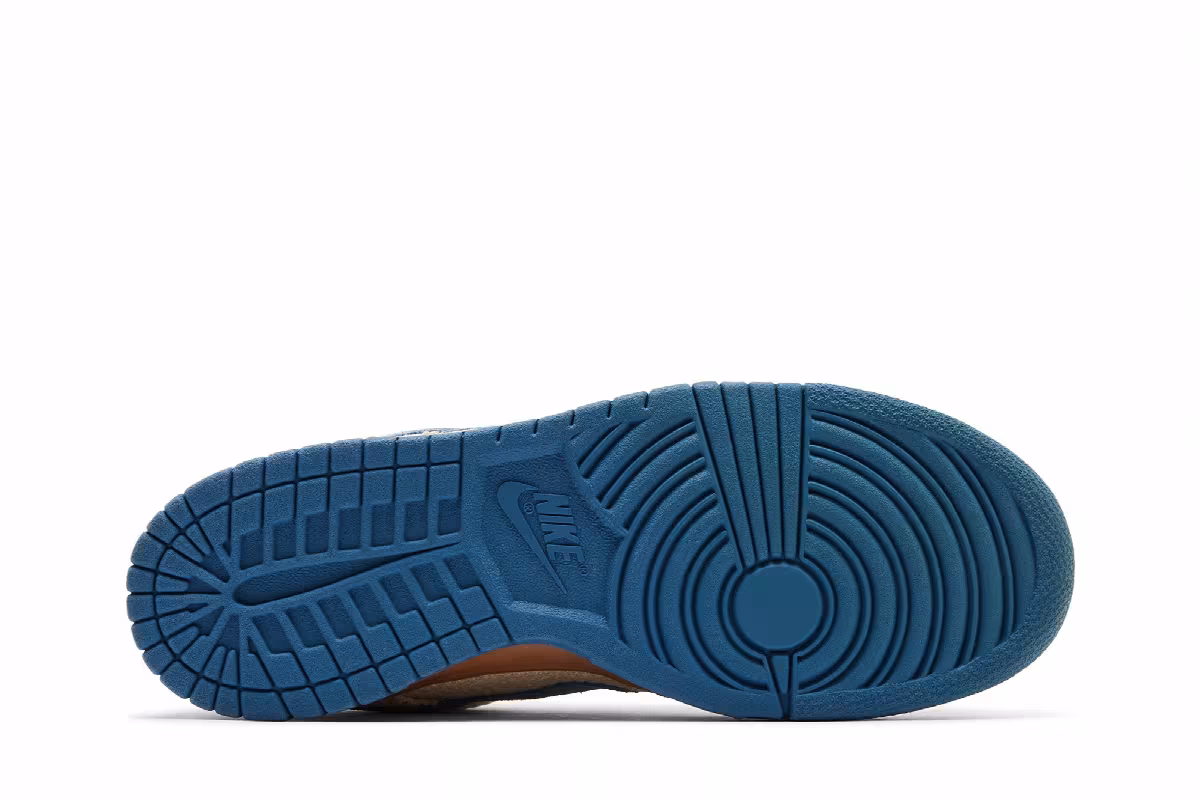 Nike Dunk Low Pro SB Blue Hemp, view 5