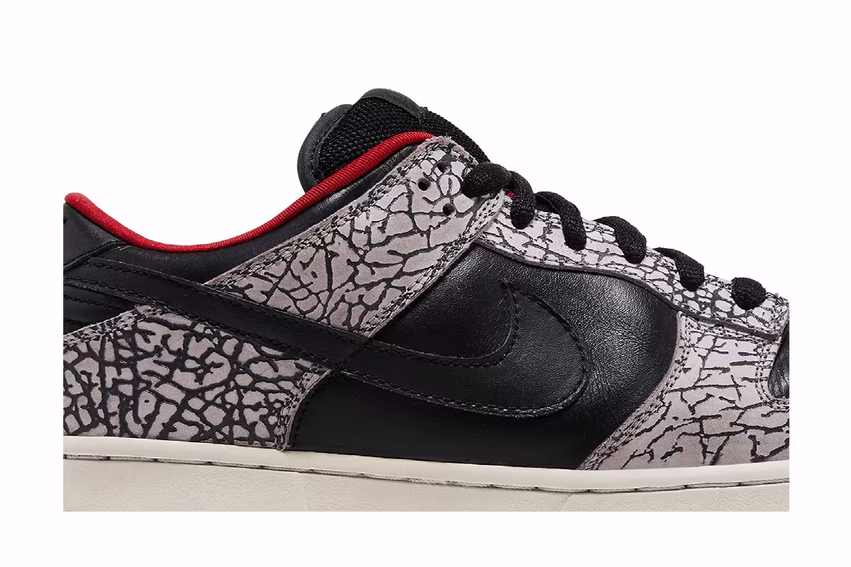 Supreme x Nike Dunk Low Pro SB Black Cement, view 3