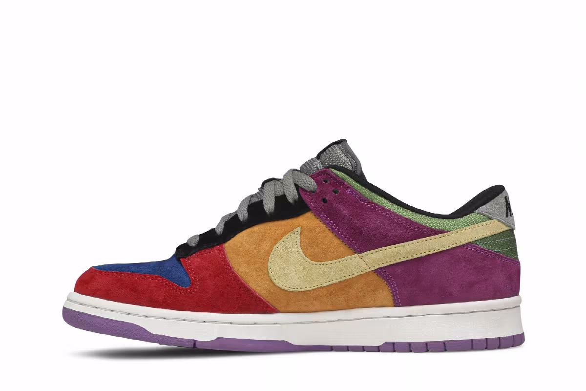 Nike Dunk Low Pro B Viotech, view 4