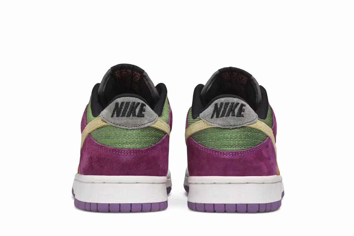 Nike Dunk Low Pro B Viotech, view 7