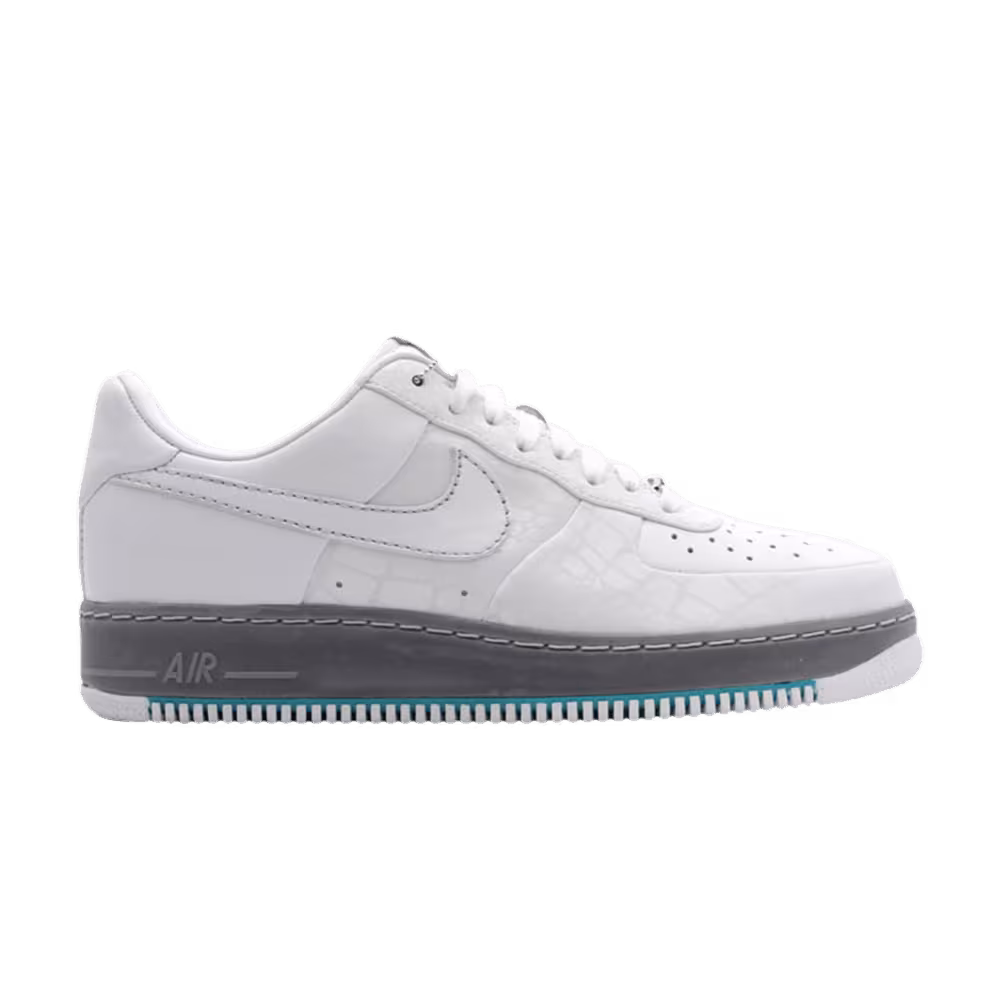 Nike Air Force 1 Sprm Mco I/O Rosie's Dry Goods